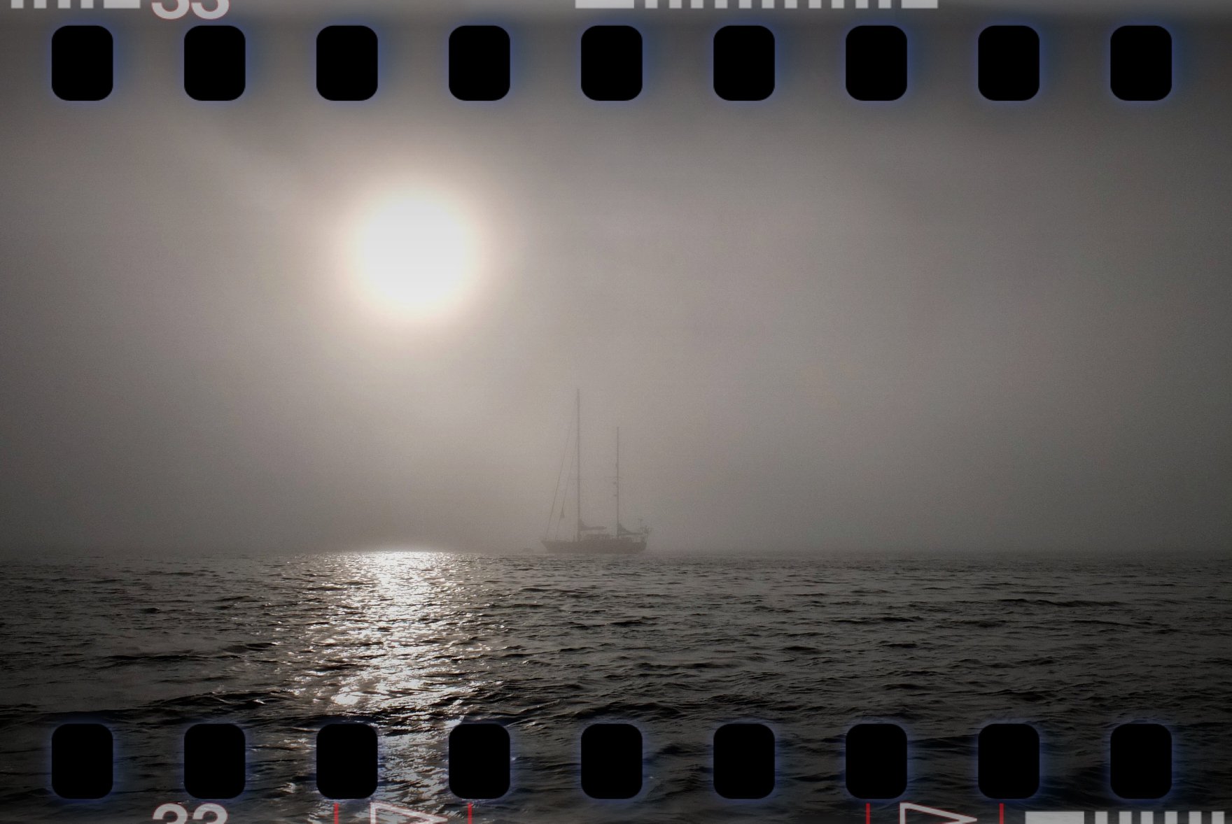 41129148 10216301089535412 970384312195088384 N