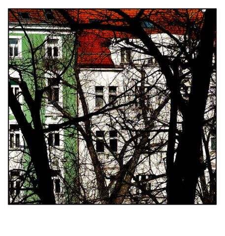 Domy Za Stromy Img 2988 Scaled