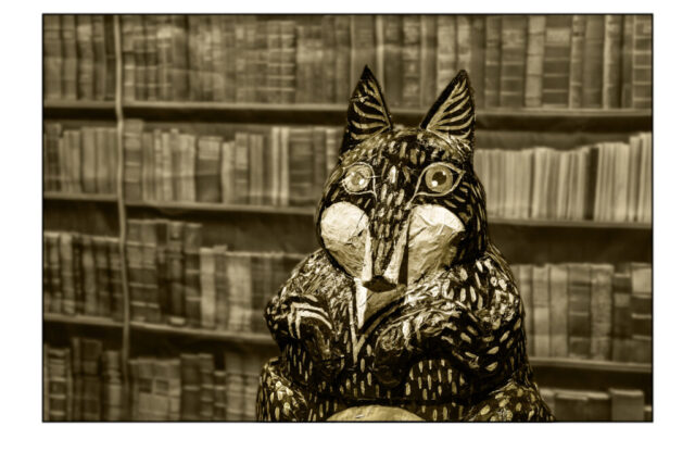 Upr Dsc 4254 Tisk Scaled